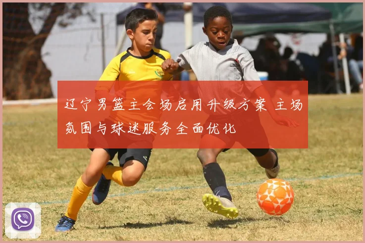 辽宁男篮主会场启用升级方案 主场氛围与球迷服务全面优化