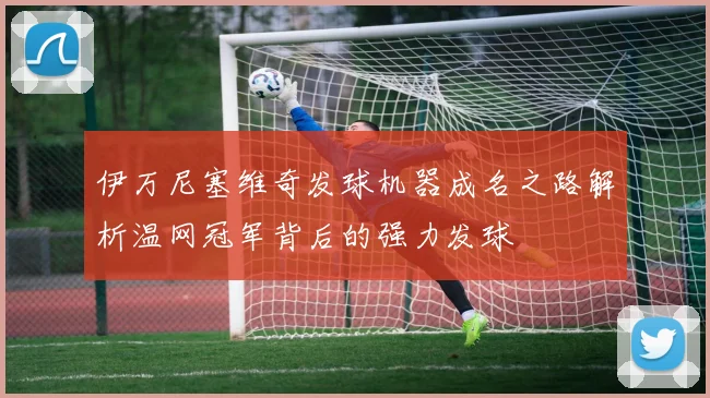 伊万尼塞维奇发球机器成名之路解析温网冠军背后的强力发球