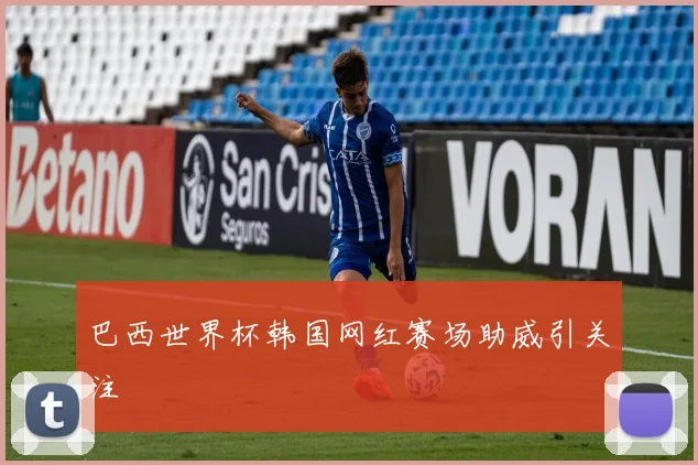 巴西世界杯韩国网红赛场助威引关注