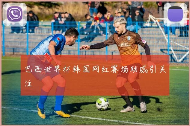 巴西世界杯韩国网红赛场助威引关注