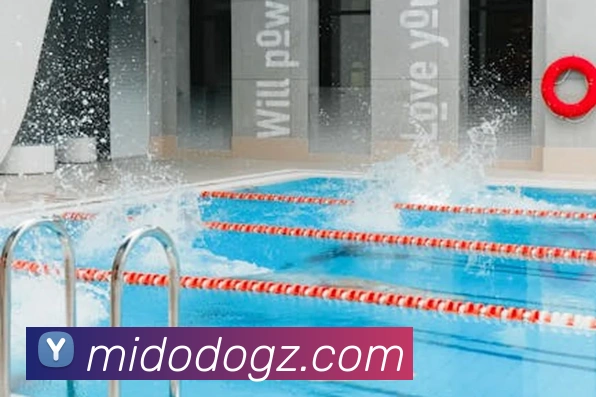 多媒体互动体验