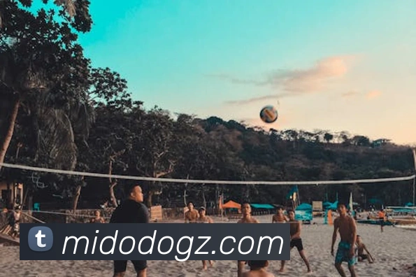 半岛官网首页APP 体育赛事宣传图